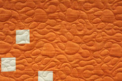 Picture Paw Prints on orange quilt